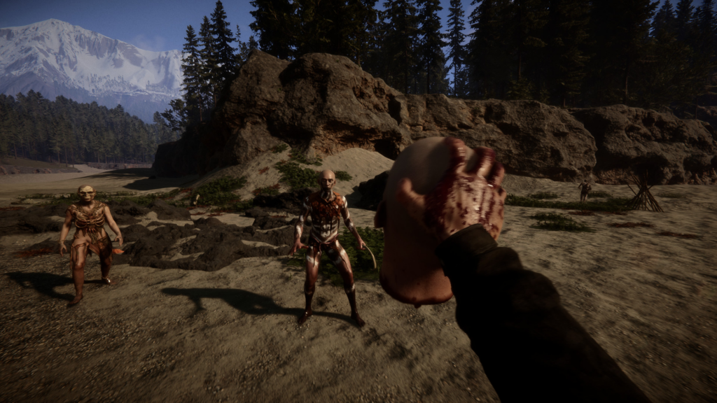 Vous cherchez un jeu à faire en couple ? Voici le TOP 30 de 2024 ! - image The Forest jeux en couple